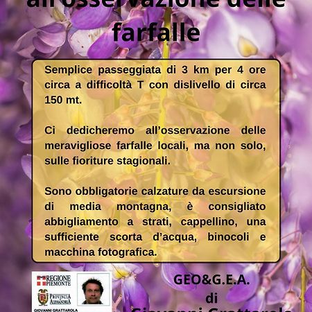 B&B Il Glicine Molare Cremolino Экстерьер фото