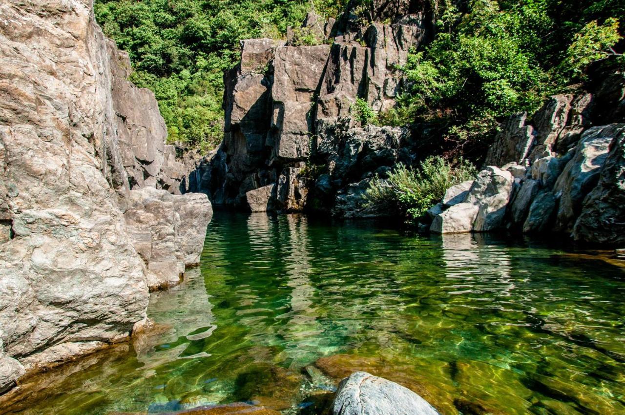 B&B Il Glicine Molare Cremolino Экстерьер фото