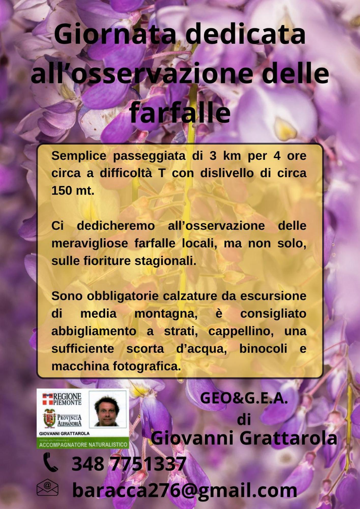 B&B Il Glicine Molare Cremolino Экстерьер фото